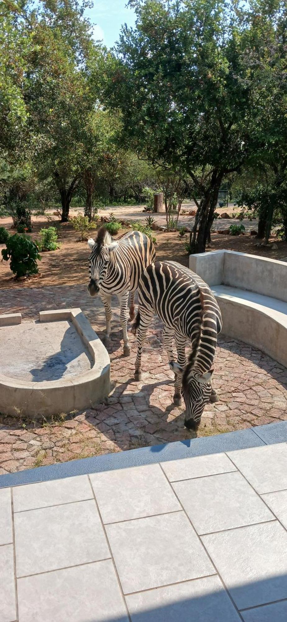 Inyati Apartamento Marloth Park